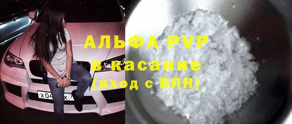дмт Бородино
