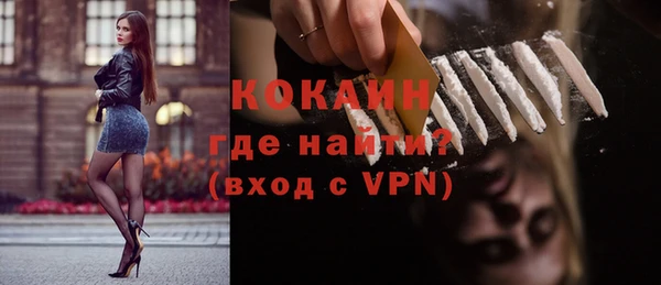 дмт Бородино