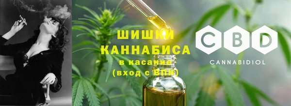 дмт Бородино
