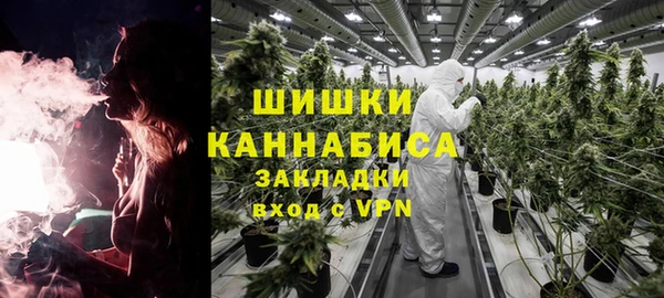 дмт Бородино