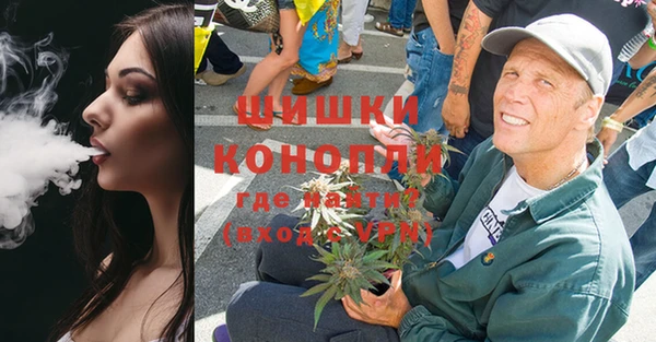 дмт Бородино