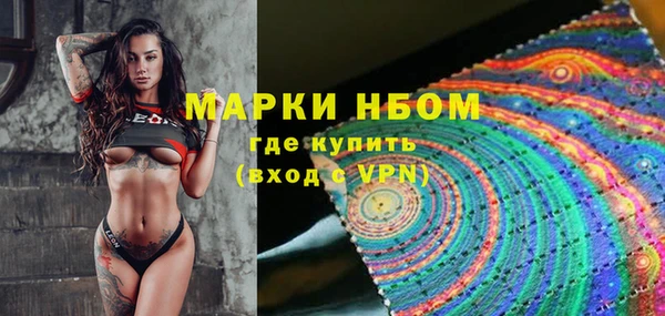 дмт Бородино