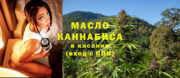 дмт Бородино