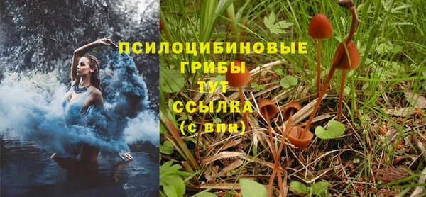 мдпв Туринск