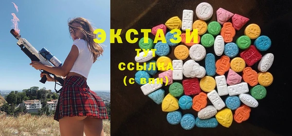 дмт Бородино