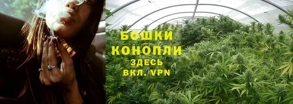 мяу мяу мука Тутаев