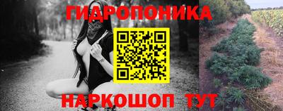 молекула духа Пенза