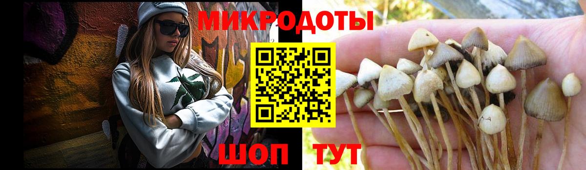 Псилоцибиновые грибы MAGIC MUSHROOMS Улан-Удэ