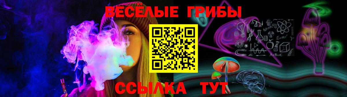 Улан-Удэ  Галлюциногенные грибы Psilocybine cubensis  Вход с VPN 